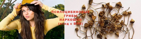 меф Баксан