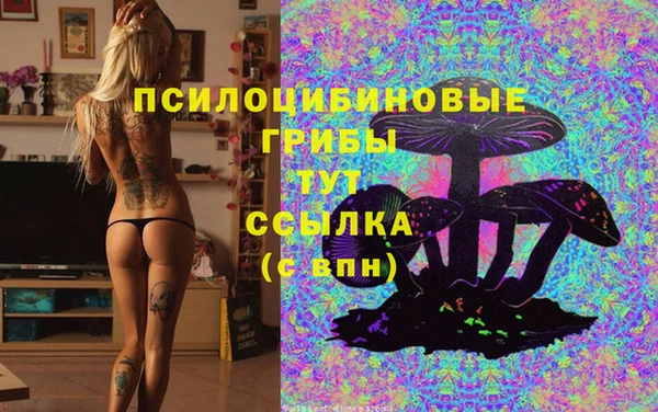 бошки Балахна