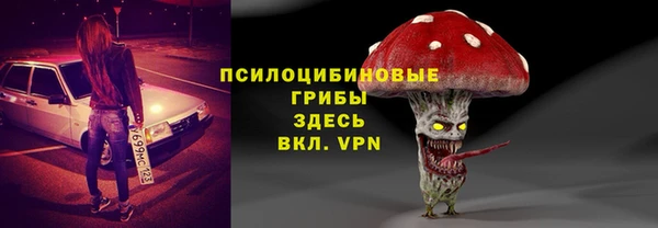 бошки Балахна
