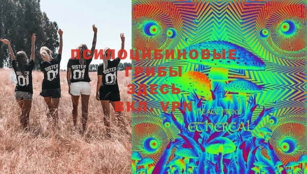 бошки Балахна